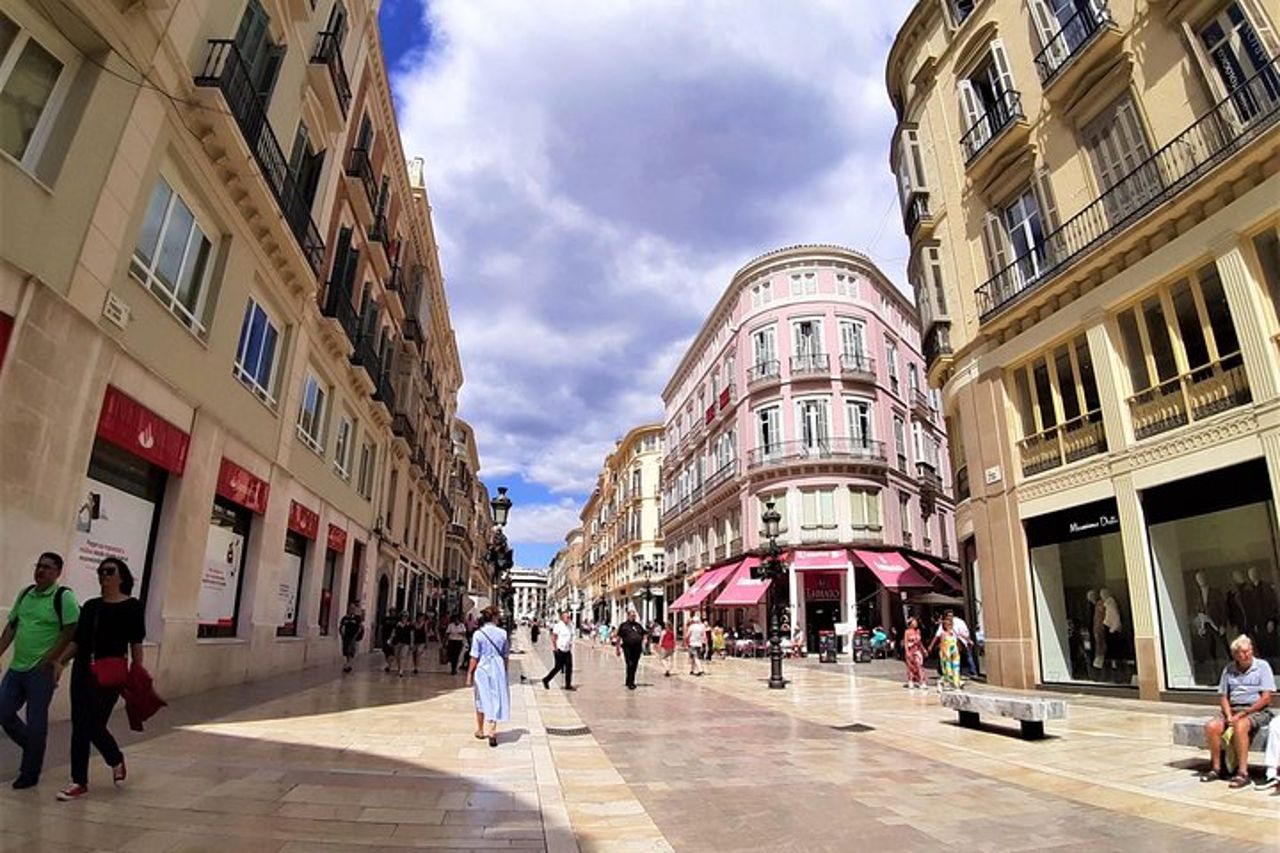 Tour privato di un giorno a Malaga con hotel o ritiro a terra da Marbella — 6