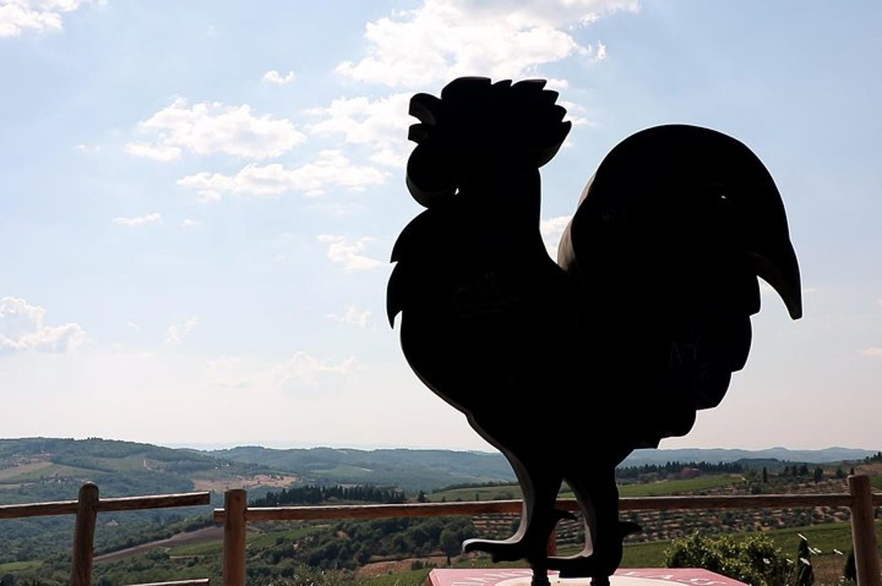 The Taste of Chianti: un tour privato enogastronomico con un pranzo a base di tartufo — 8