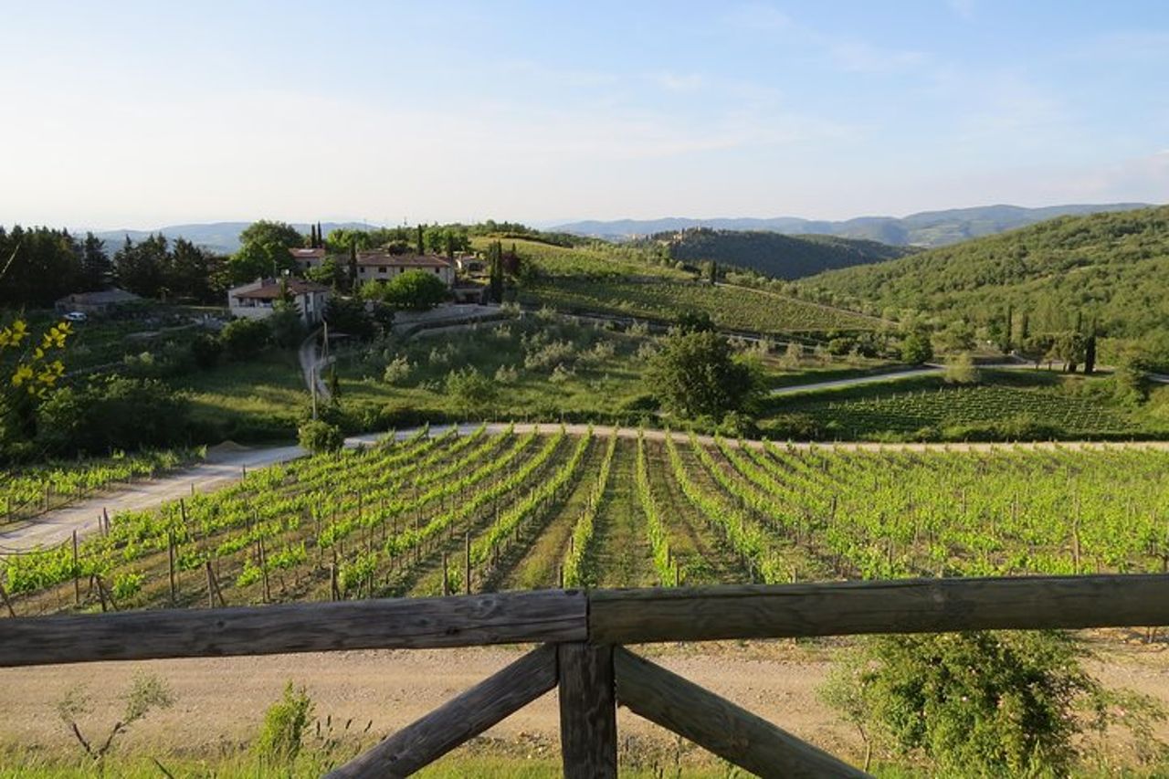 The Taste of Chianti: un tour privato enogastronomico con un pranzo a base di tartufo — 9