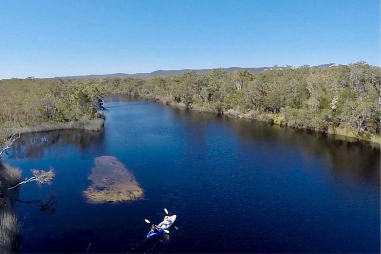 Noosa Everglade Kayak -Sud/Noosa End - Alla ricerca delle razze! — 5