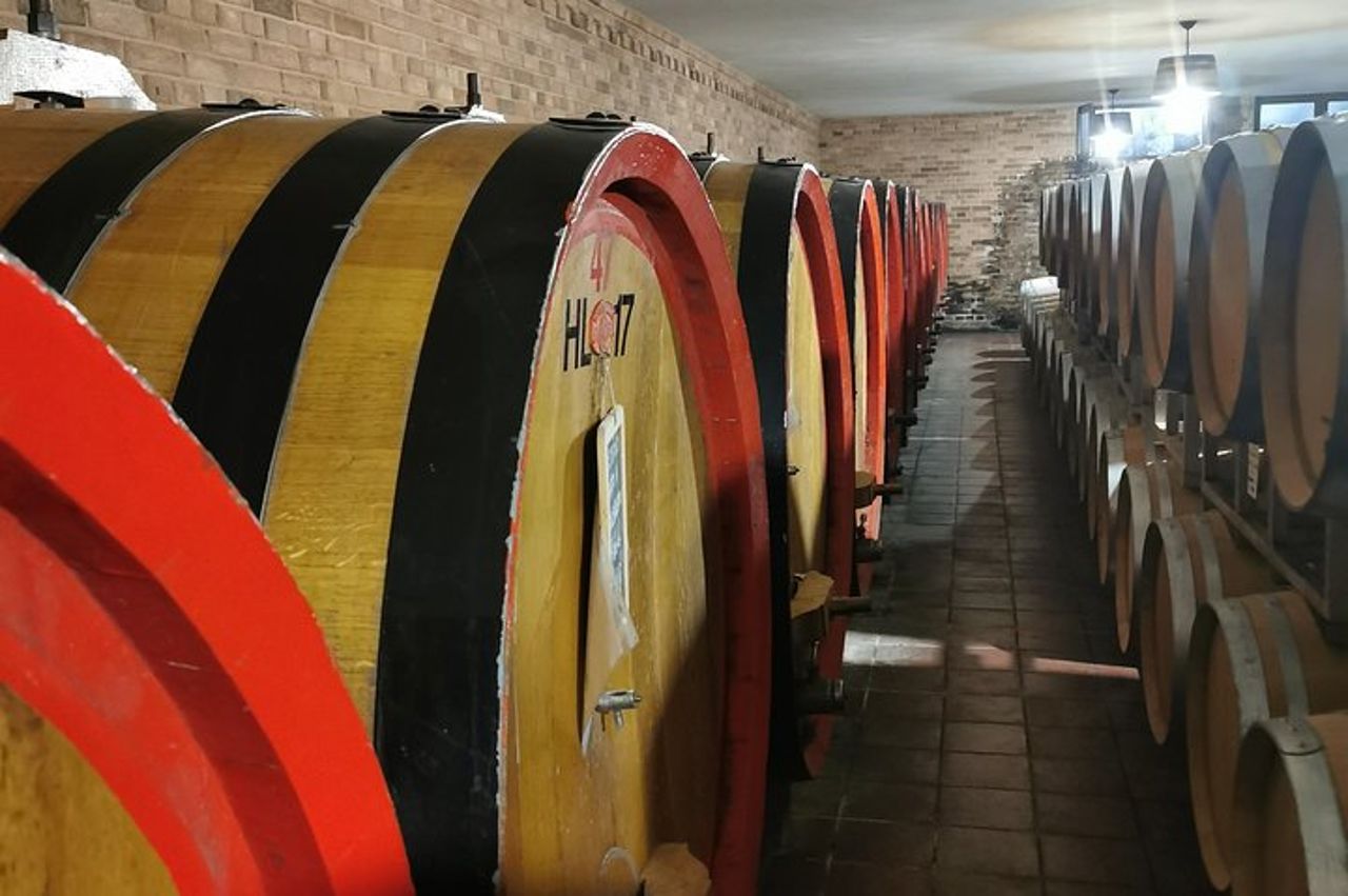 Barolo&Barbaresco Wine Experience con un enologo locale — 2