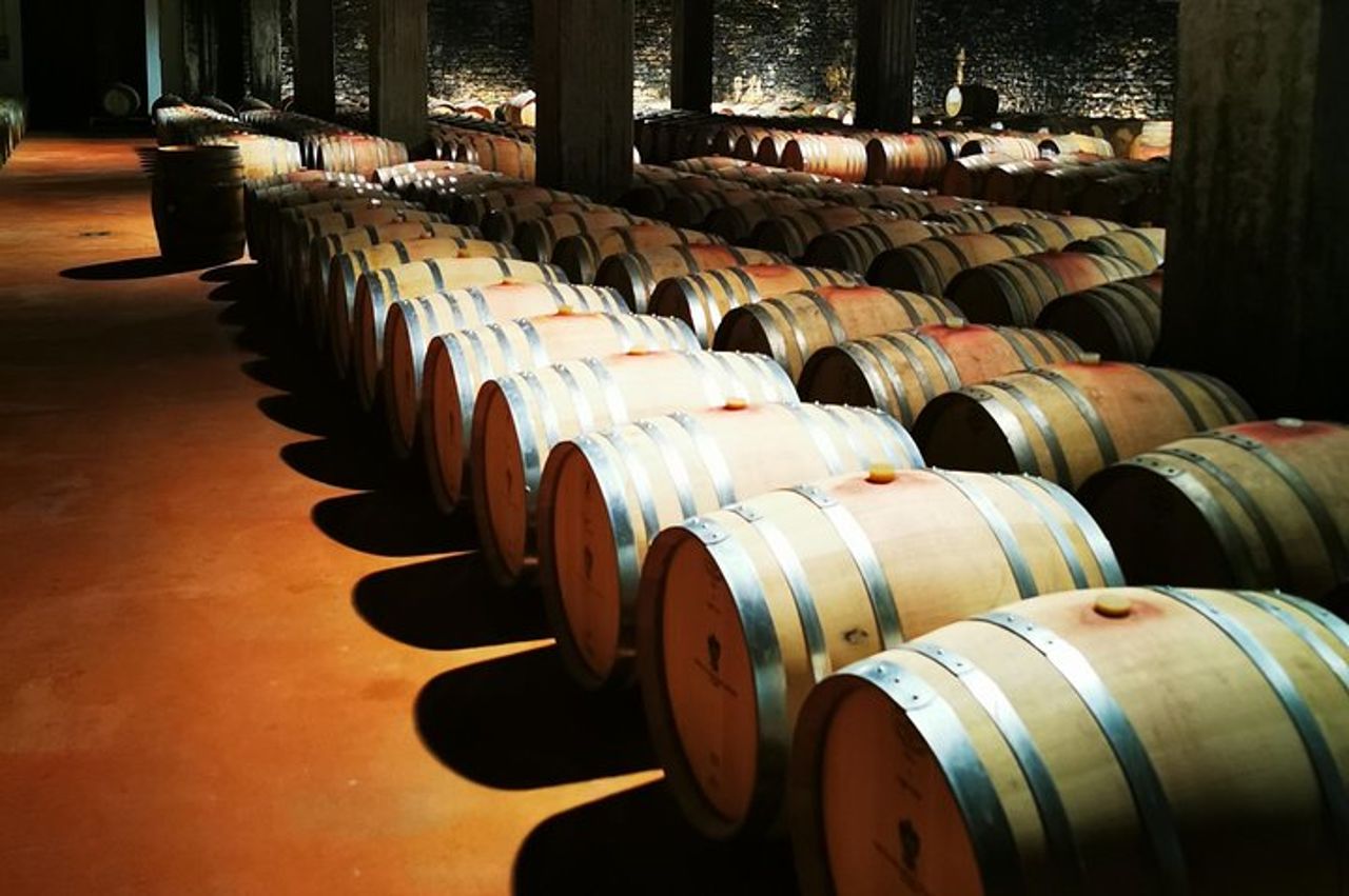 Barolo&Barbaresco Wine Experience con un enologo locale — 3