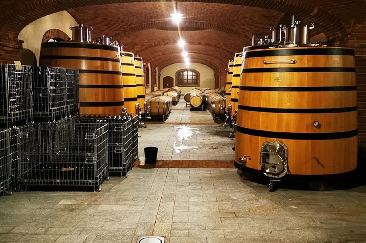 Barolo&Barbaresco Wine Experience con un enologo locale — 5