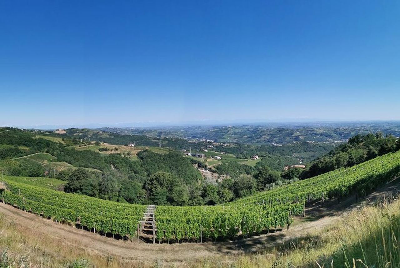 Barolo&Barbaresco Wine Experience con un enologo locale — 7