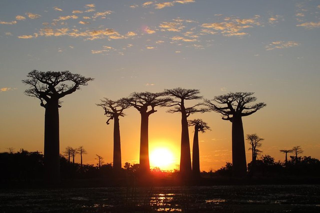 Madagascar 7 giorni Baobabs and Lemurs Tour