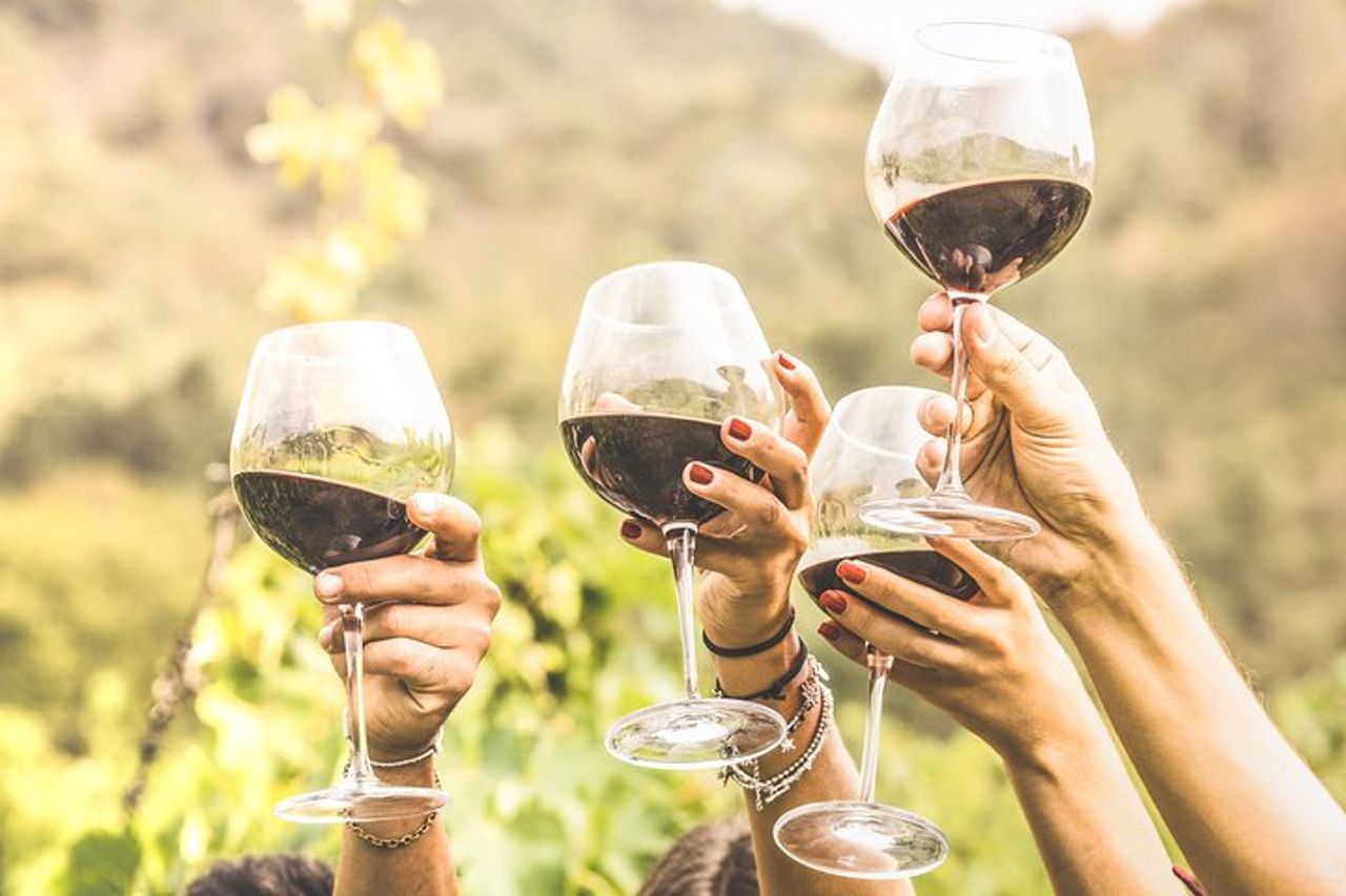 Alba in 3 Wines: degustazione di vini esclusivi con abbinamento di esperti e cibo