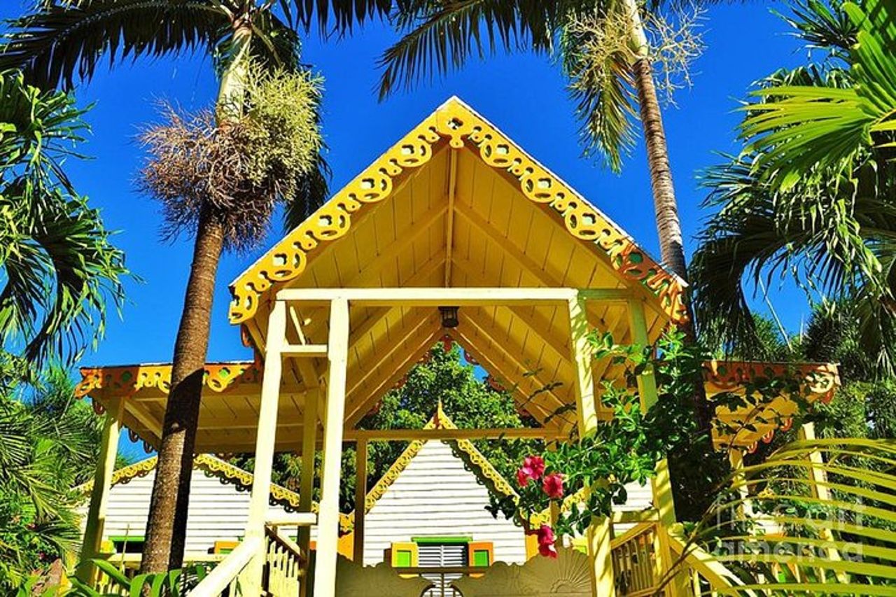 Special Best of St. Kitts/Tour panoramico di Rosevelt — 6