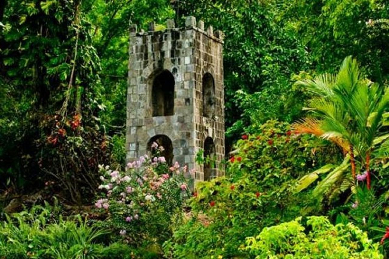 Special Best of St. Kitts/Tour panoramico di Rosevelt — 5
