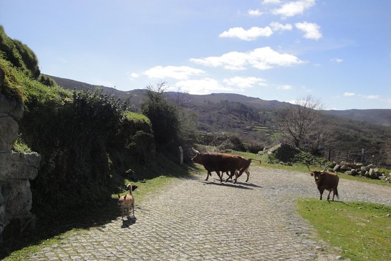 Parco nazionale di Peneda-Gerês - Un viaggio nel tempo attraverso le montagne - — 3