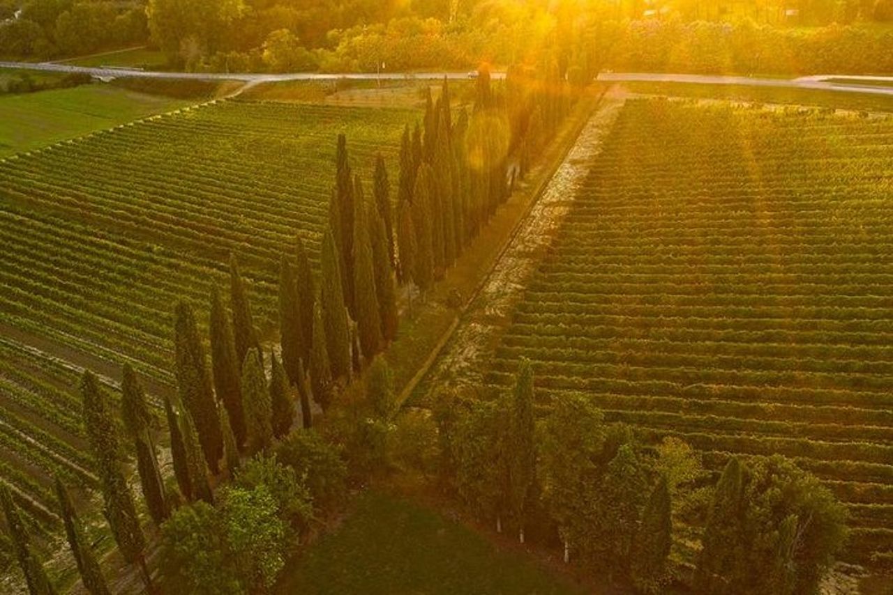 Arezzo: Degustazione di Vino in Val di Chiana — 4