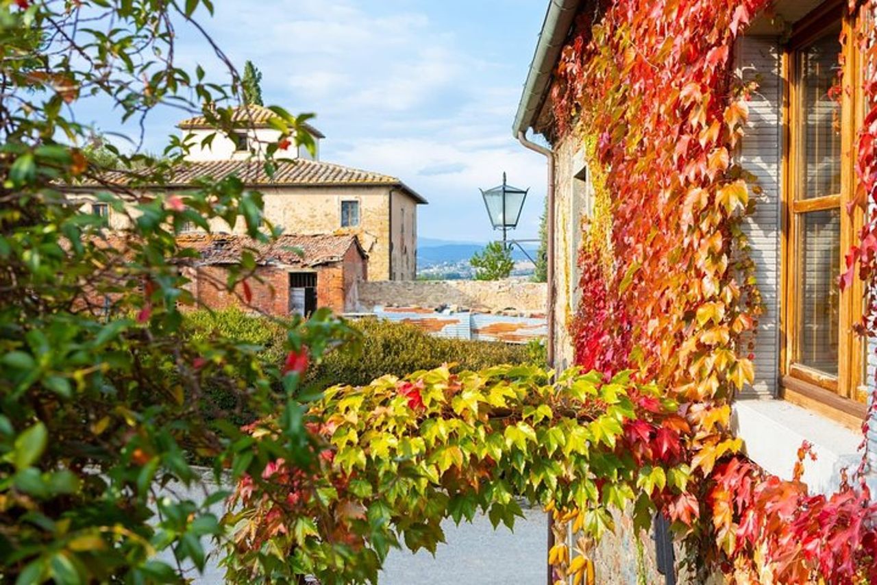 Arezzo: Degustazione di Vino in Val di Chiana — 5