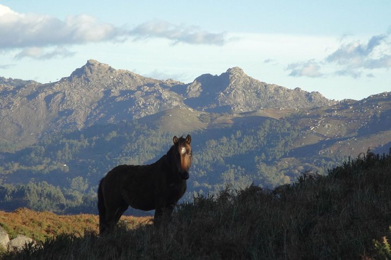 Parco nazionale di Peneda-Gerês - Un viaggio nel tempo attraverso le montagne - — 7