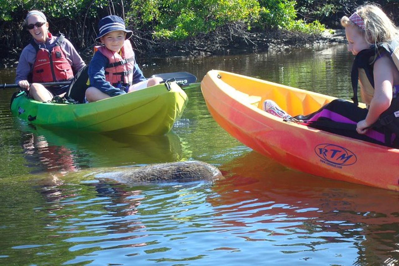 Tour ecologico guidato in kayak - Bunche Beach