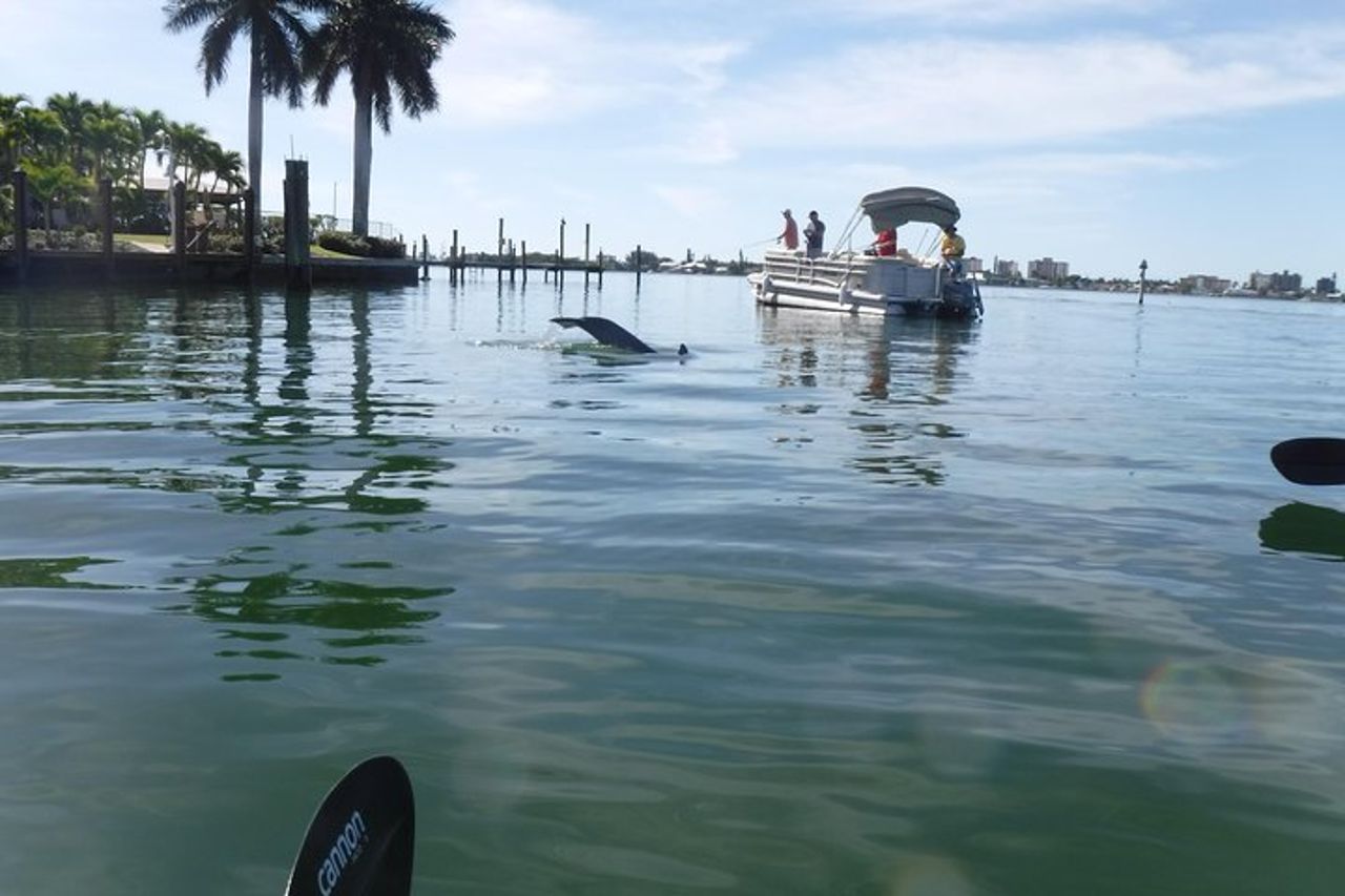 Tour ecologico guidato in kayak - Bunche Beach — 4