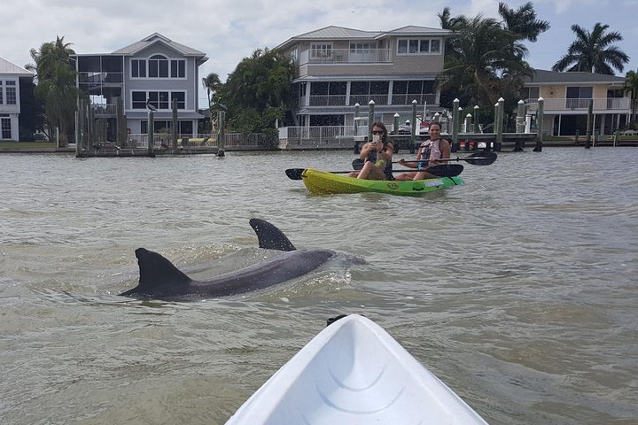 Tour ecologico guidato in kayak - Bunche Beach — 5