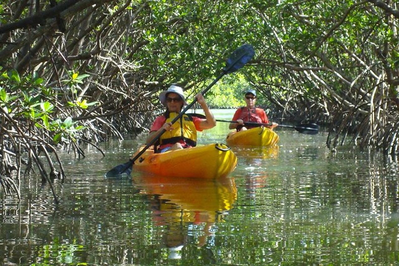 Tour ecologico guidato in kayak - Bunche Beach — 7