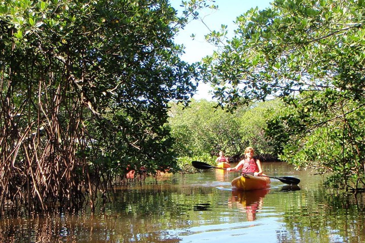 Tour ecologico guidato in kayak - Bunche Beach — 8