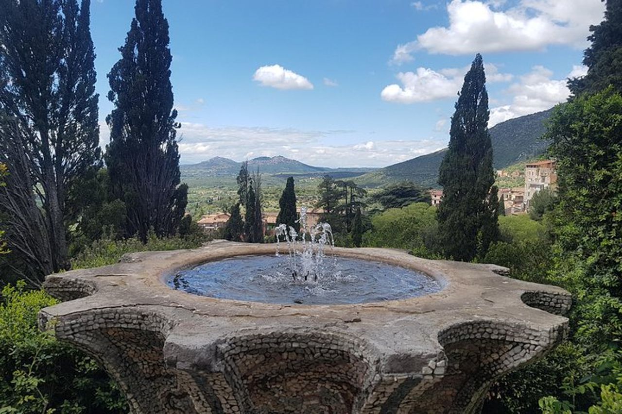 Tour privato di mezza giornata a Tivoli da Roma : villa d’Este — 5