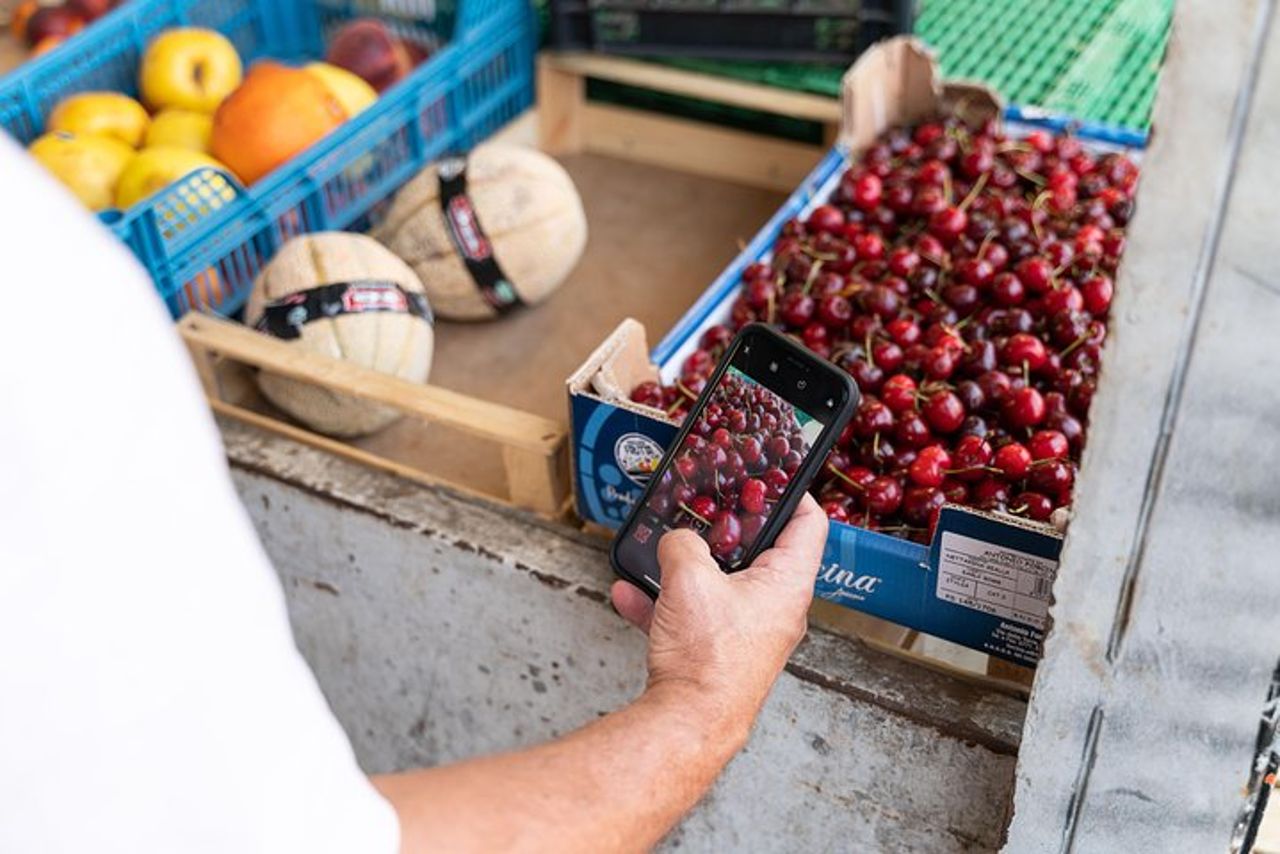 Visita al mercato e lezione di cucina con pranzo o cena a casa di un locale a Praiano — 3