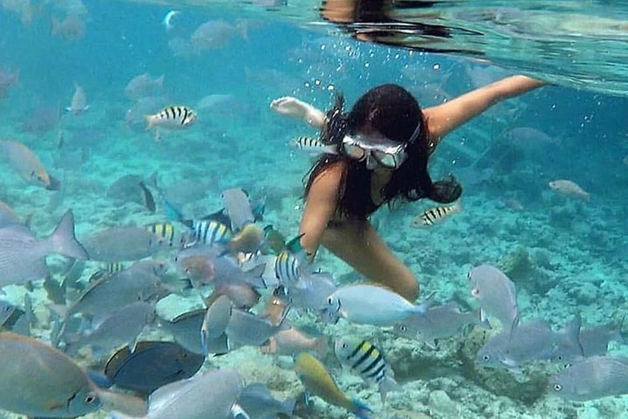 Tour di Culebra Snorkeling con trasporto da San Juan — 2