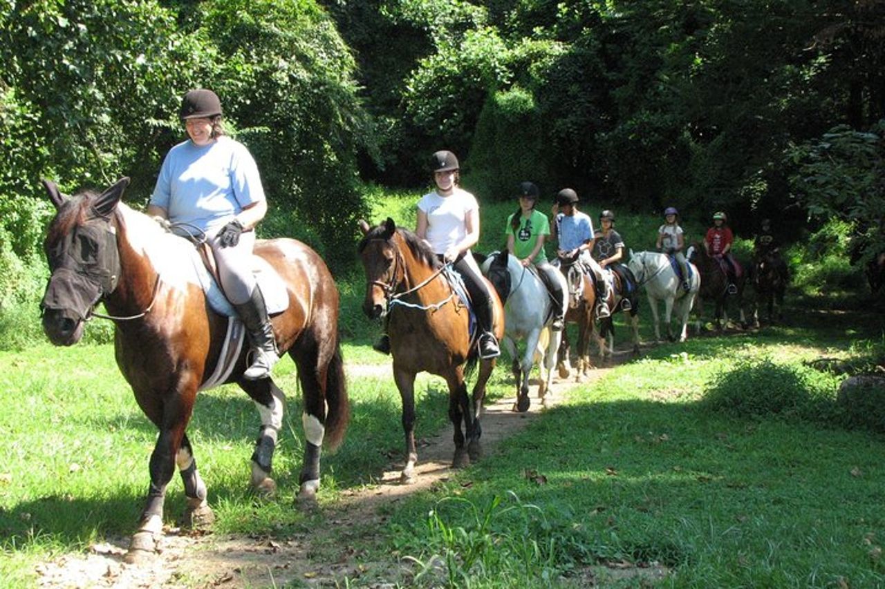 Escursione a cavallo — 4