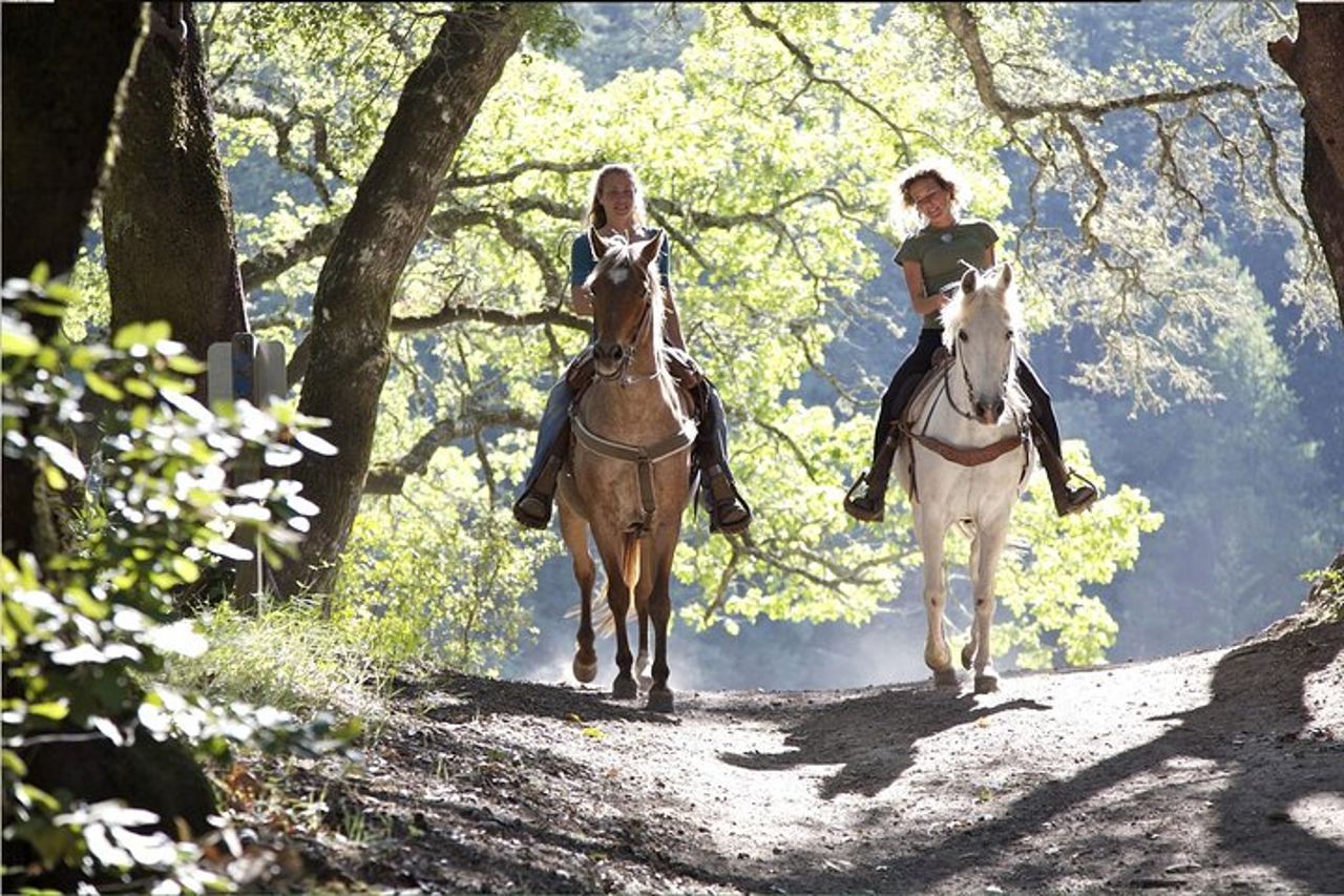 Escursione a cavallo — 6