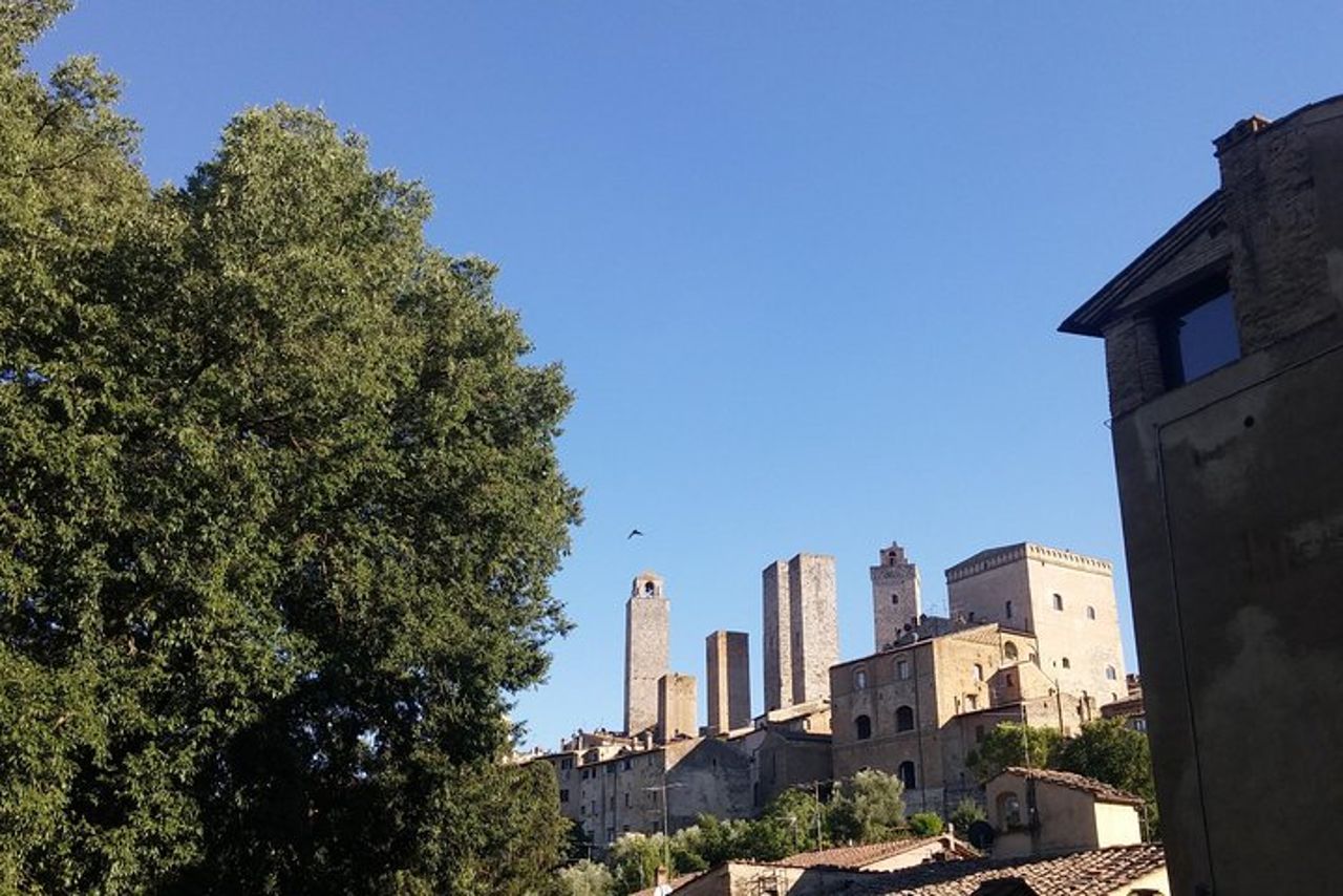 San Gimignano: Visita guidata in cantina con degustazione di vino — 4