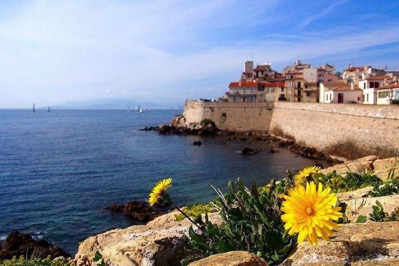 Escursione a terra a Grasse, Antibes e St Paul de Vence da Cannes — 2