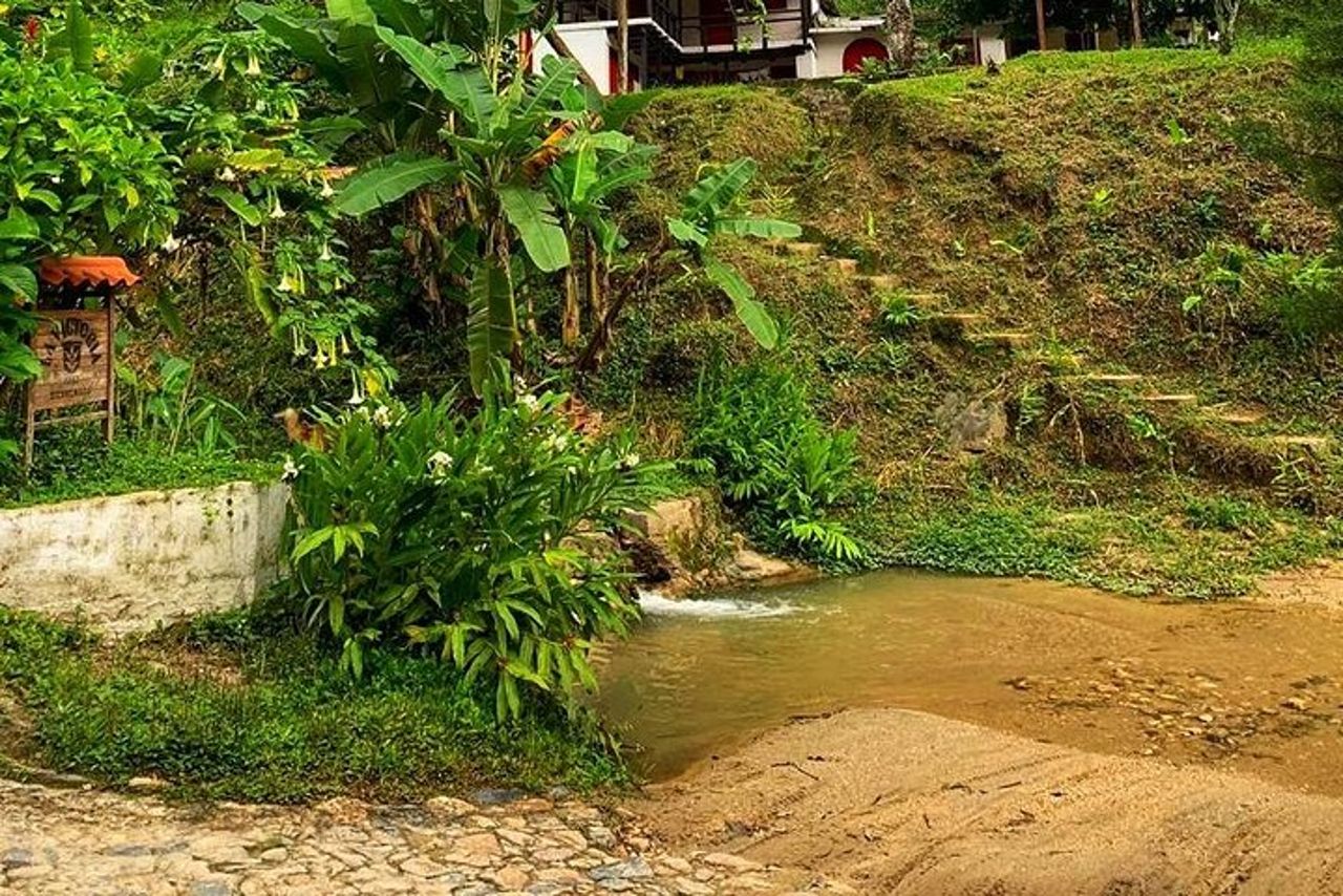 MINCA TOUR - Esplora cascate e conosce l'origine del caffè e del cacao — 4