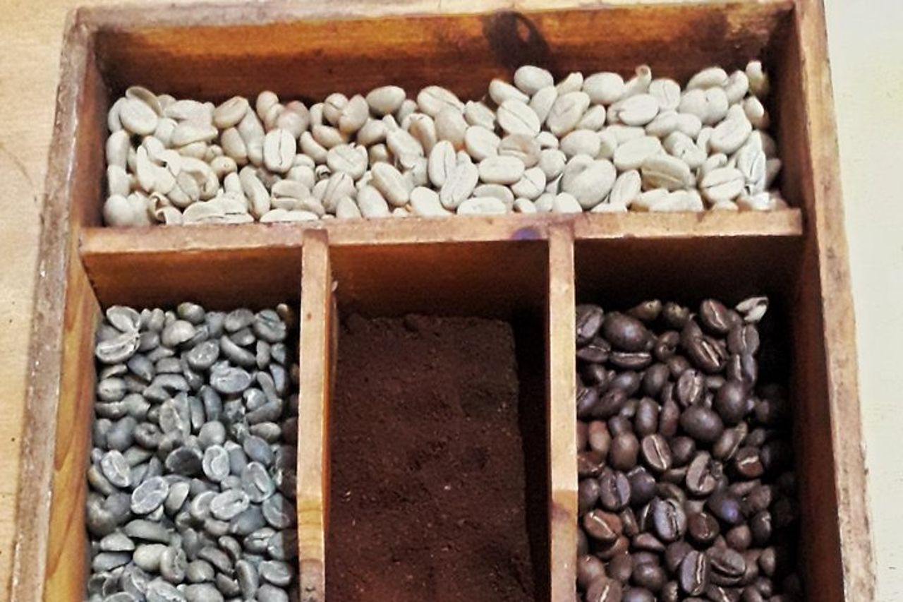 MINCA TOUR - Esplora cascate e conosce l'origine del caffè e del cacao — 3