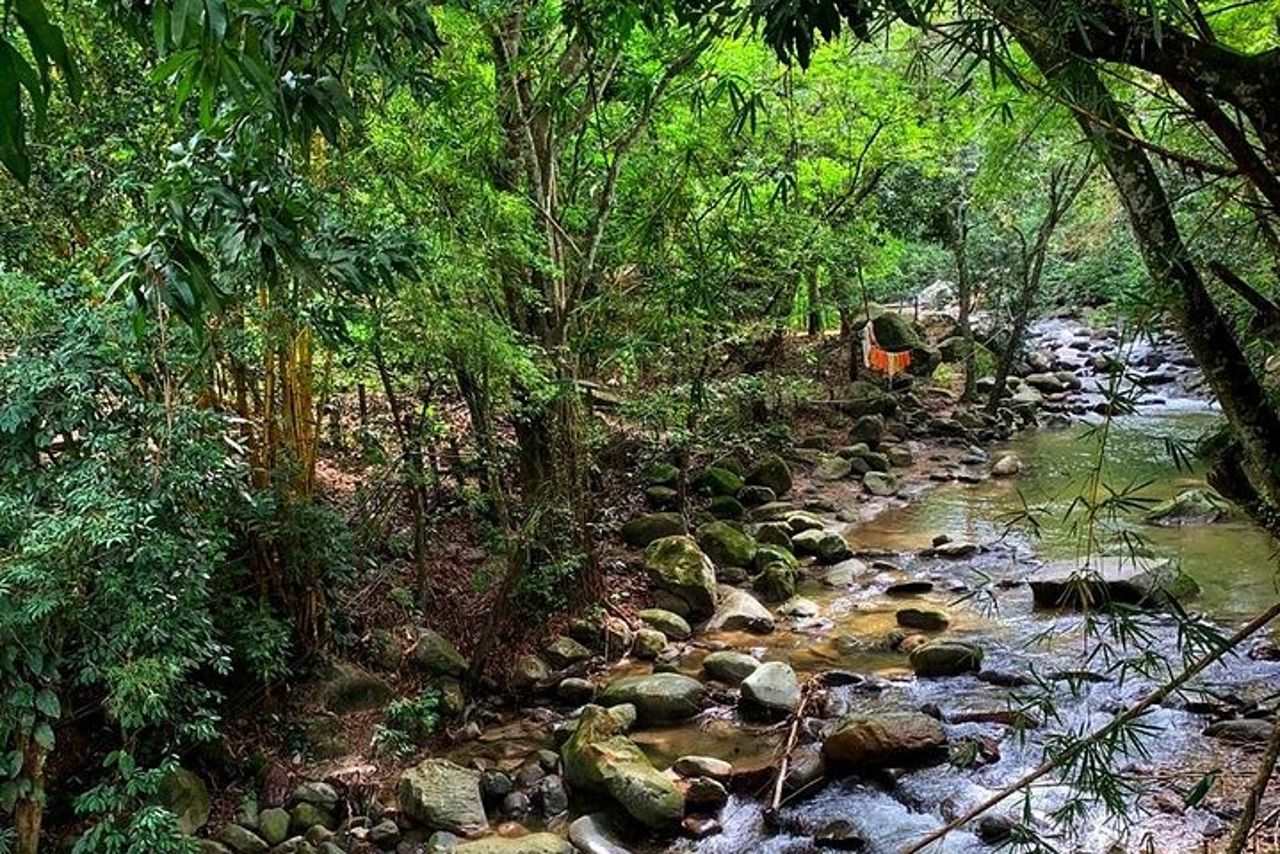 MINCA TOUR - Esplora cascate e conosce l'origine del caffè e del cacao — 5