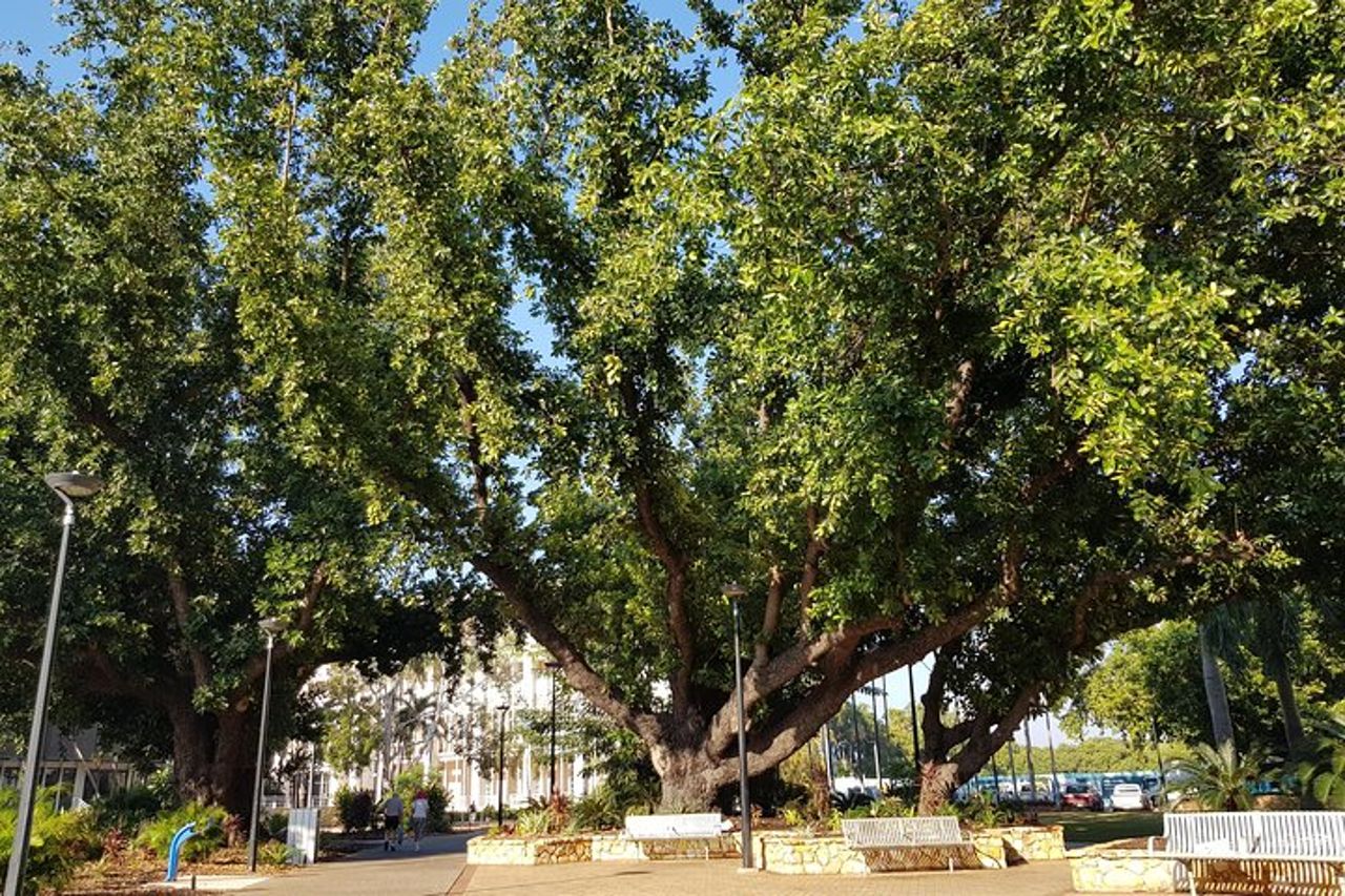 Darwin Heritage Walk — 3