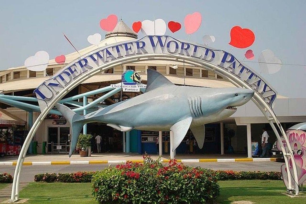 Mezza giornata Mercato galleggiante di Pattaya e Underwater World Pattaya Combo — 5