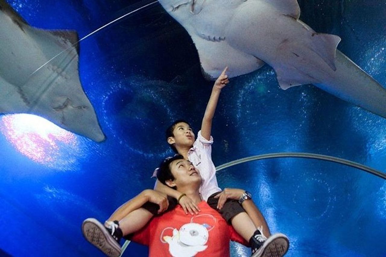 Mezza giornata Mercato galleggiante di Pattaya e Underwater World Pattaya Combo — 6