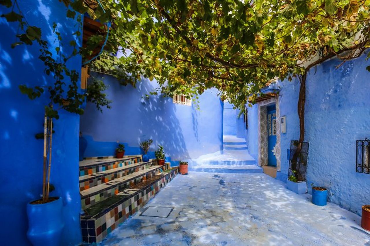 Gita giornaliera di gruppo condivisa a Chefchaouen da Fez — 5