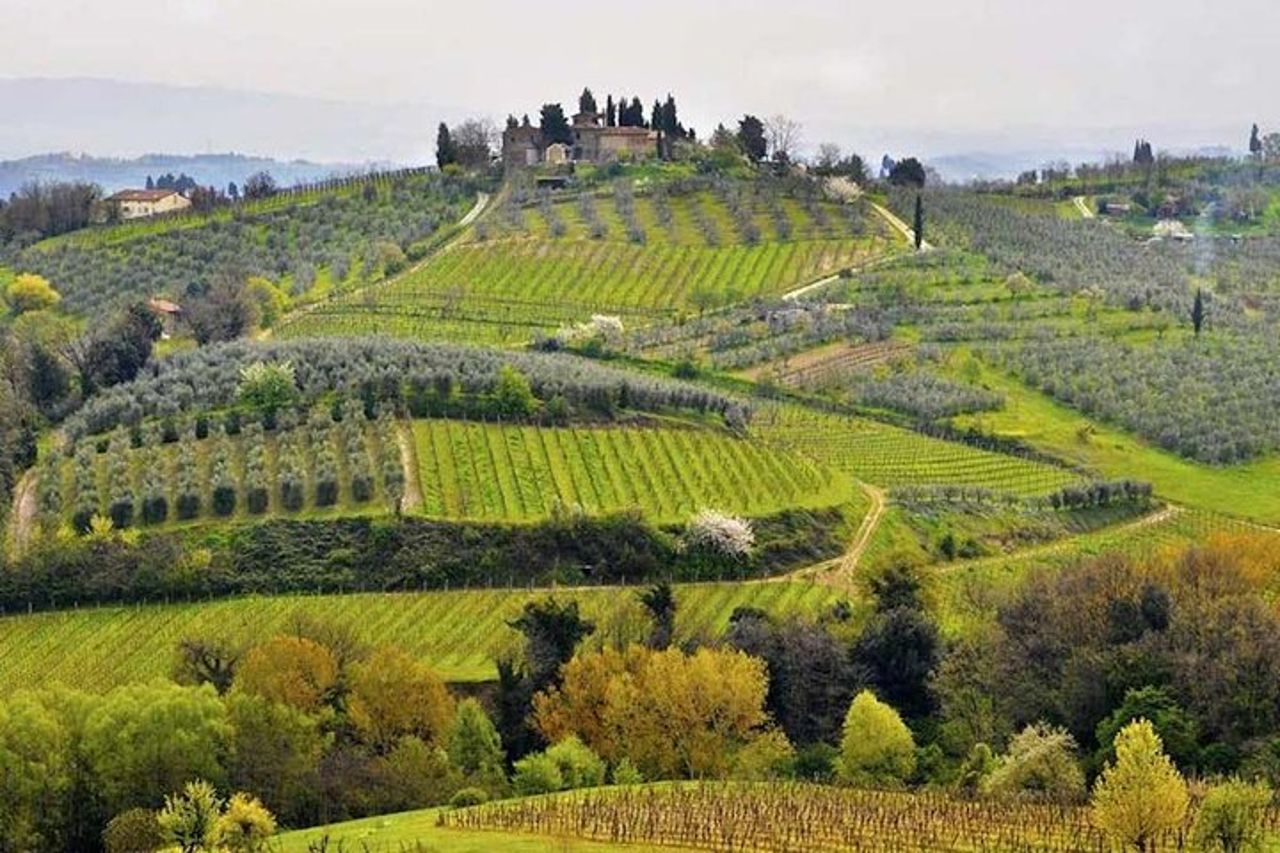 Escursione giornaliera dal porto di Civitavecchia alla campagna toscana — 4