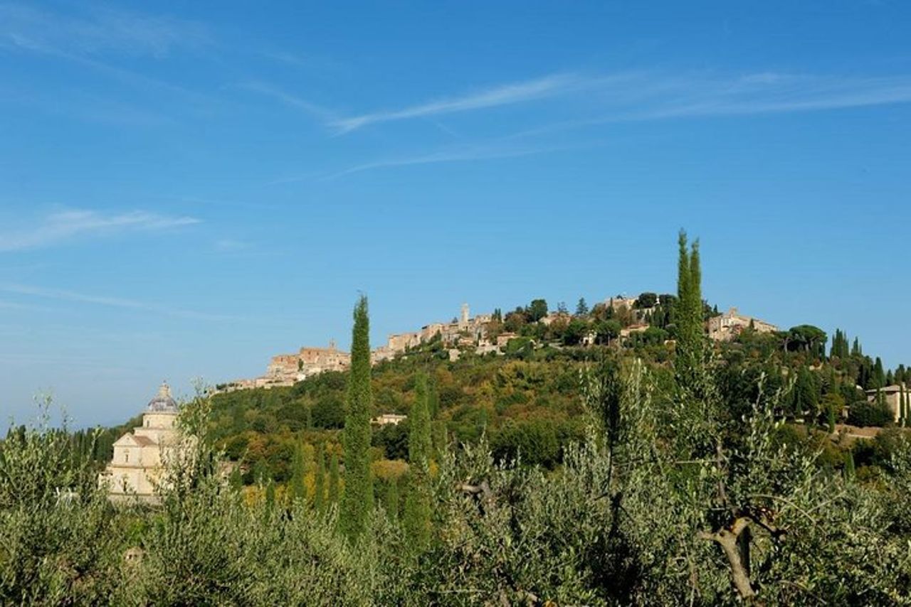 Scopri Montepulciano: Cinta Senese Maiali, Pranzo & Vino in Fattoria — 4
