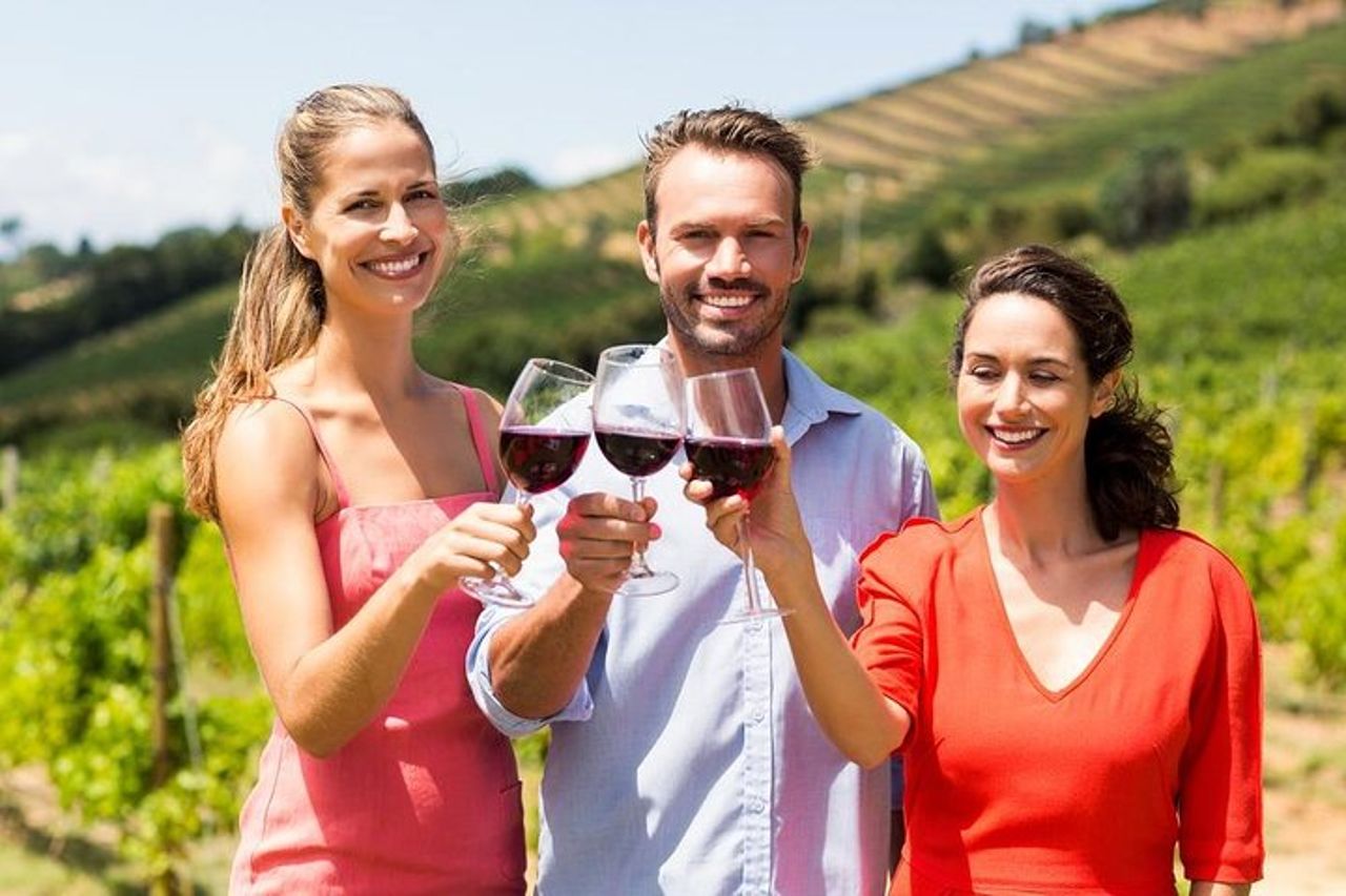Radda in Chianti : Wine Tasting Tour con pranzo in Cantina