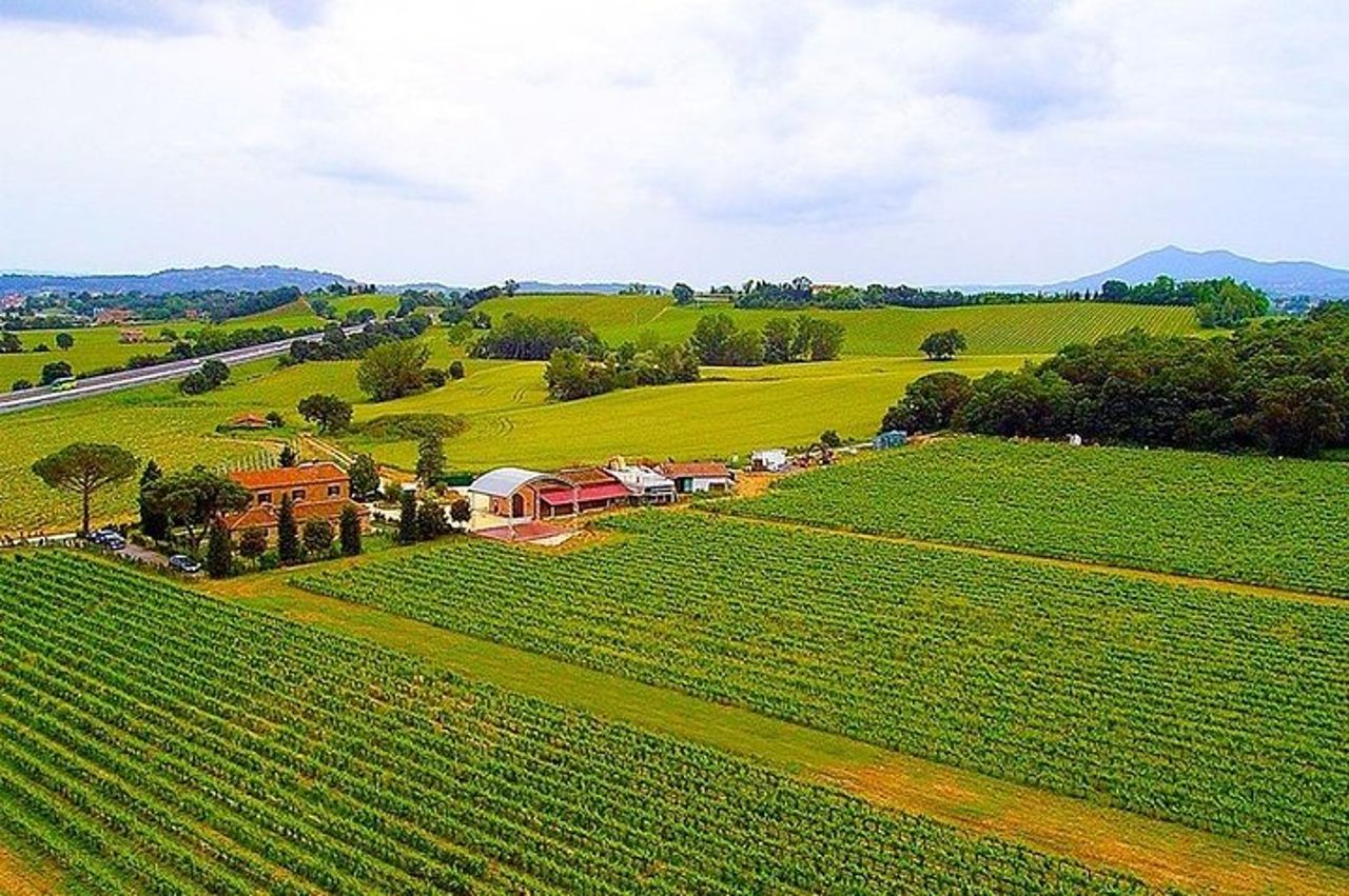 Tour Romantico in Vespa e Degustazione Vini — 4