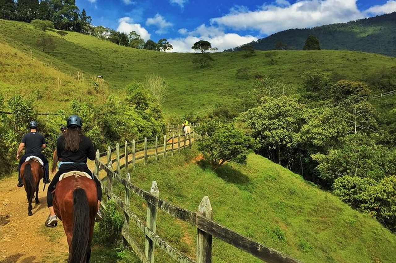 Autentico giro a cavallo colombiano — 4
