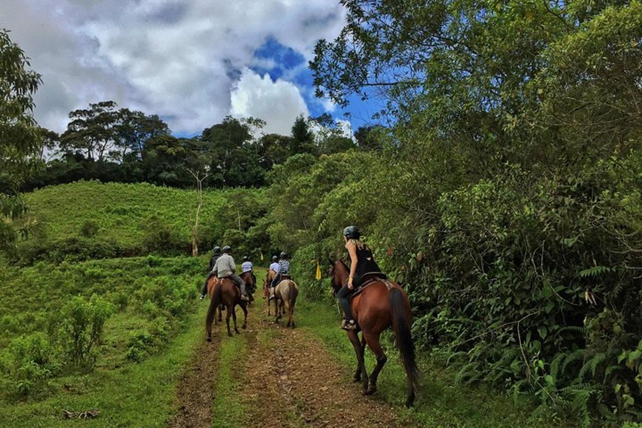 Autentico giro a cavallo colombiano — 5