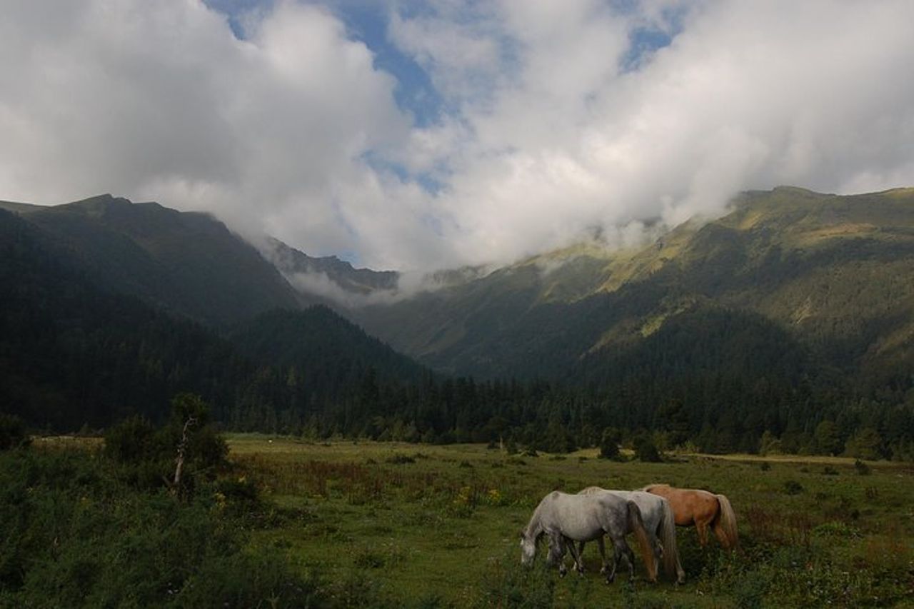 Trekking guidato privato di Dhorpatan — 3