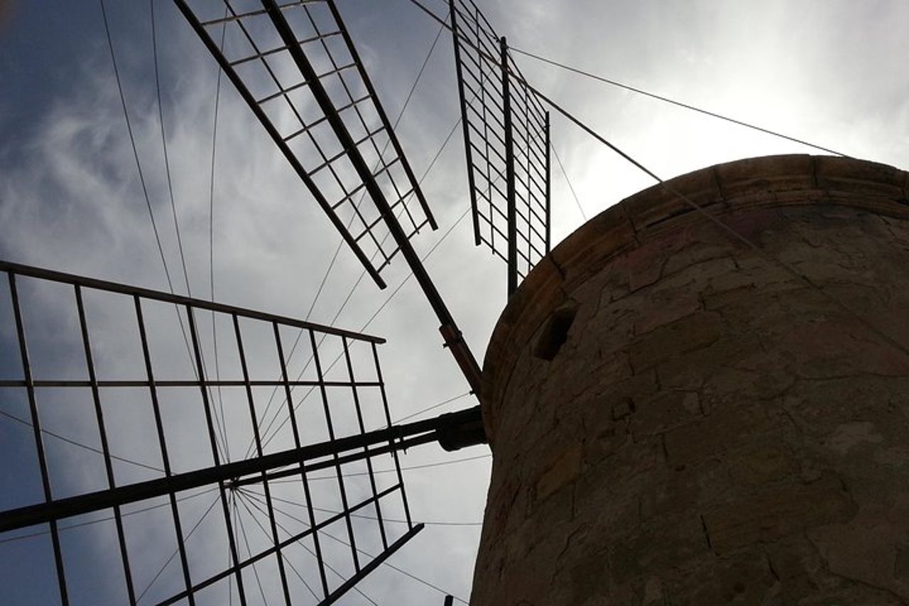 Tour Delle Saline Al Pomeriggio — 5