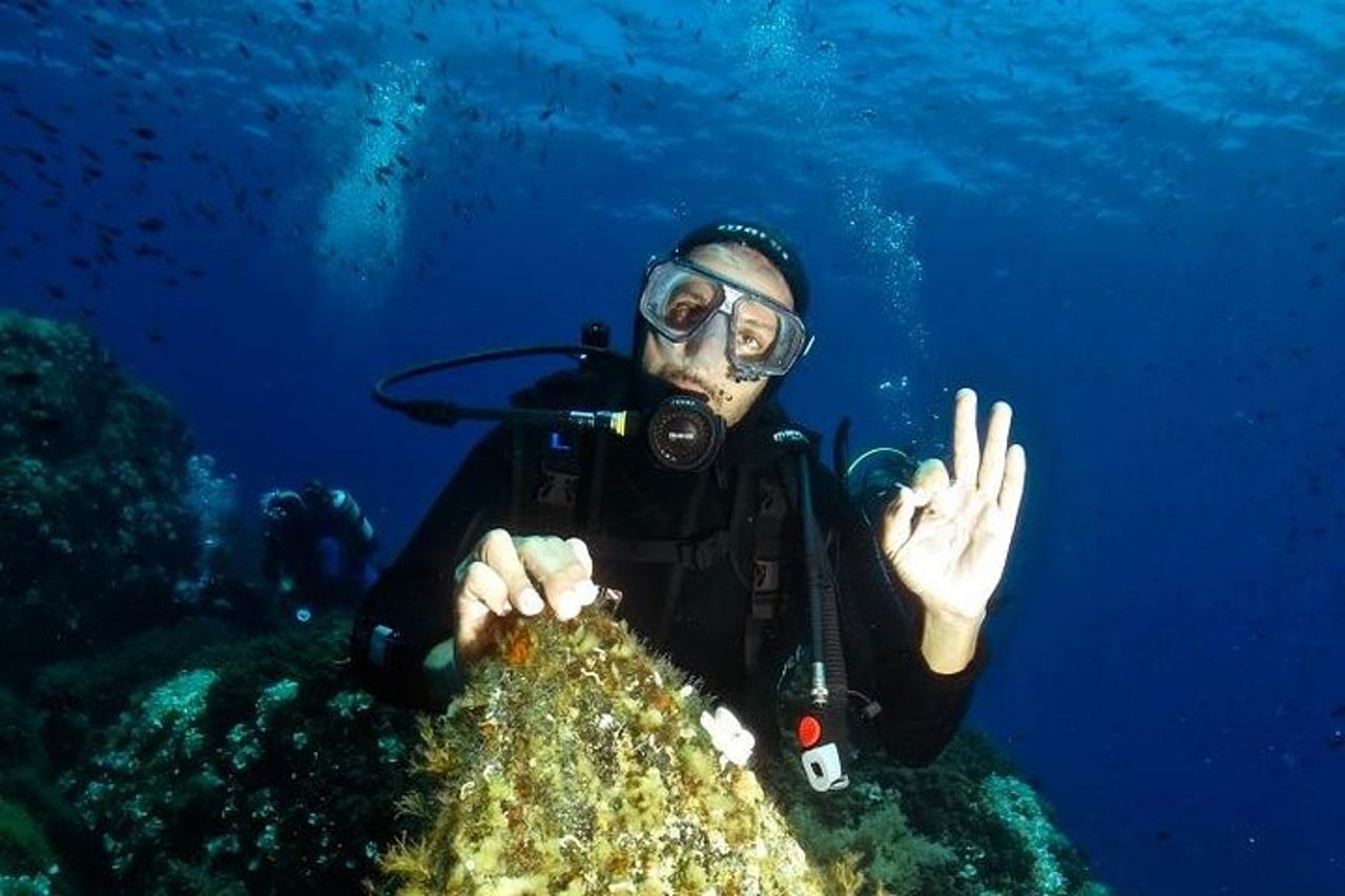 Try Scuba Diving — 5
