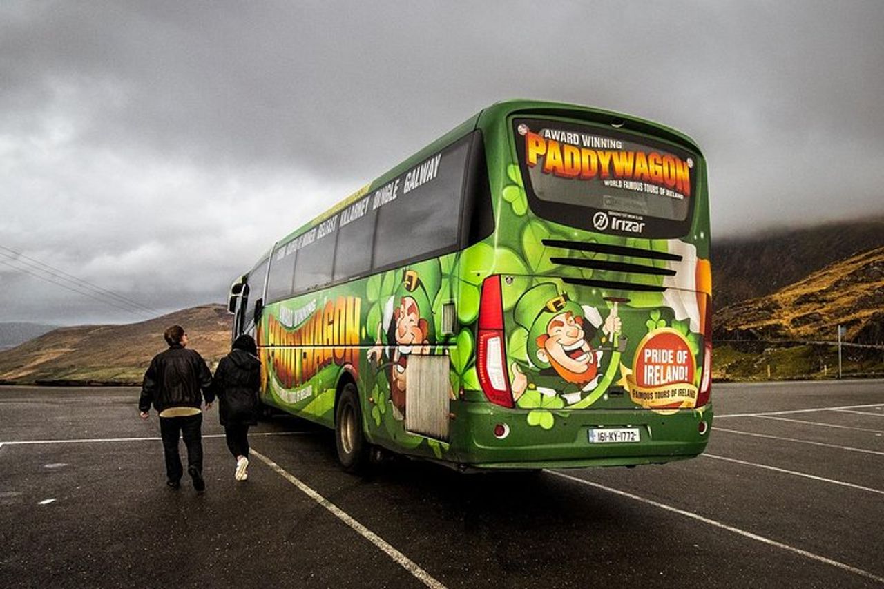 Tour di un giorno del Ring of Kerry da Killarney: incluso il parco nazionale di Killarney — 6