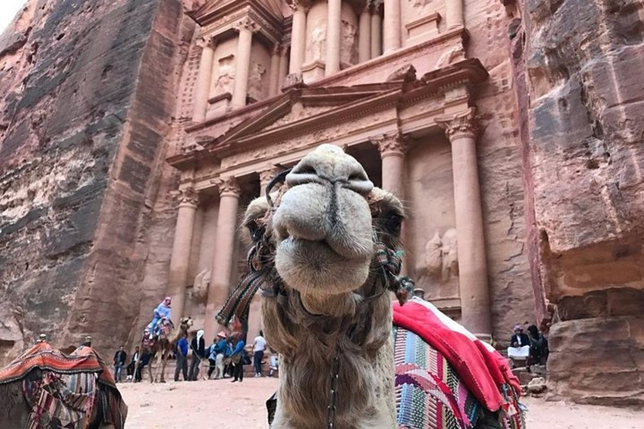 Gita di un giorno a Petra dalla città di Aqaba — 5