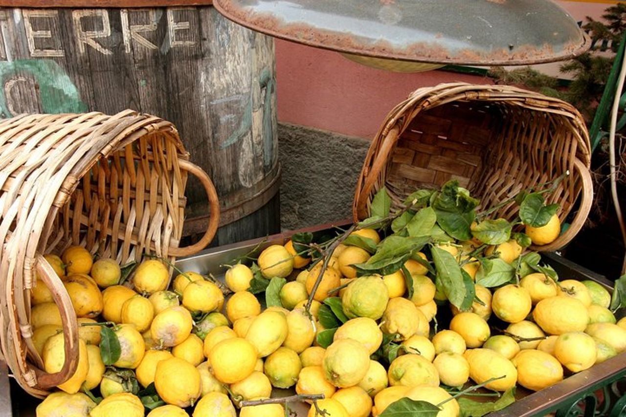 Cinqueterre e Pisa Escursione costiera da Livorno — 9