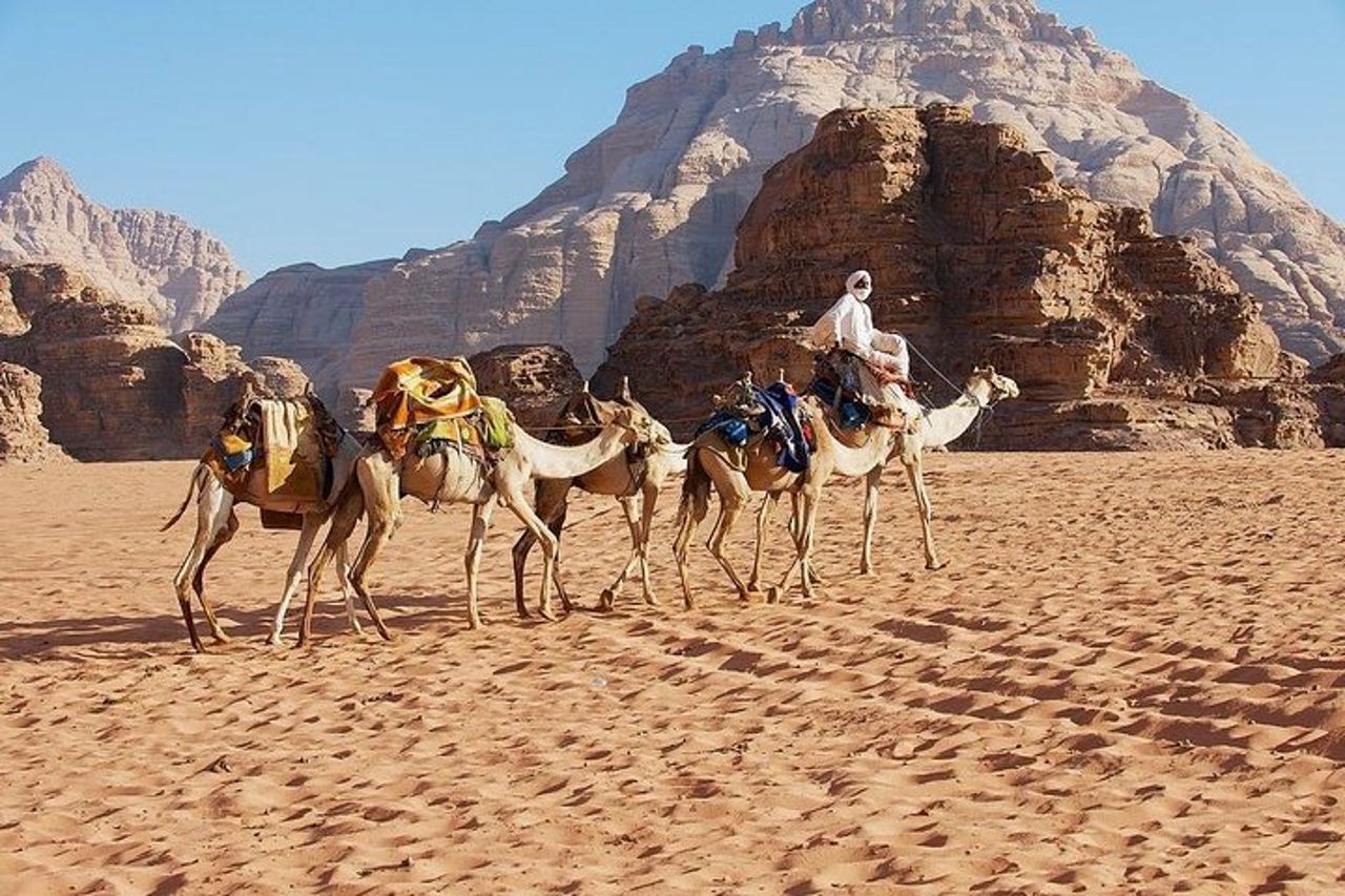 Escursione a Petra, Mar Morto e Wadi Rum Porto di Aqaba — 6
