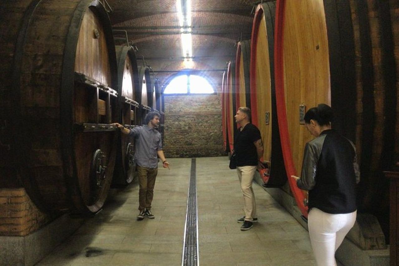Tour privato da Torino: intera giornata nella regione delle Langhe con i suoi colori e sapori — 9