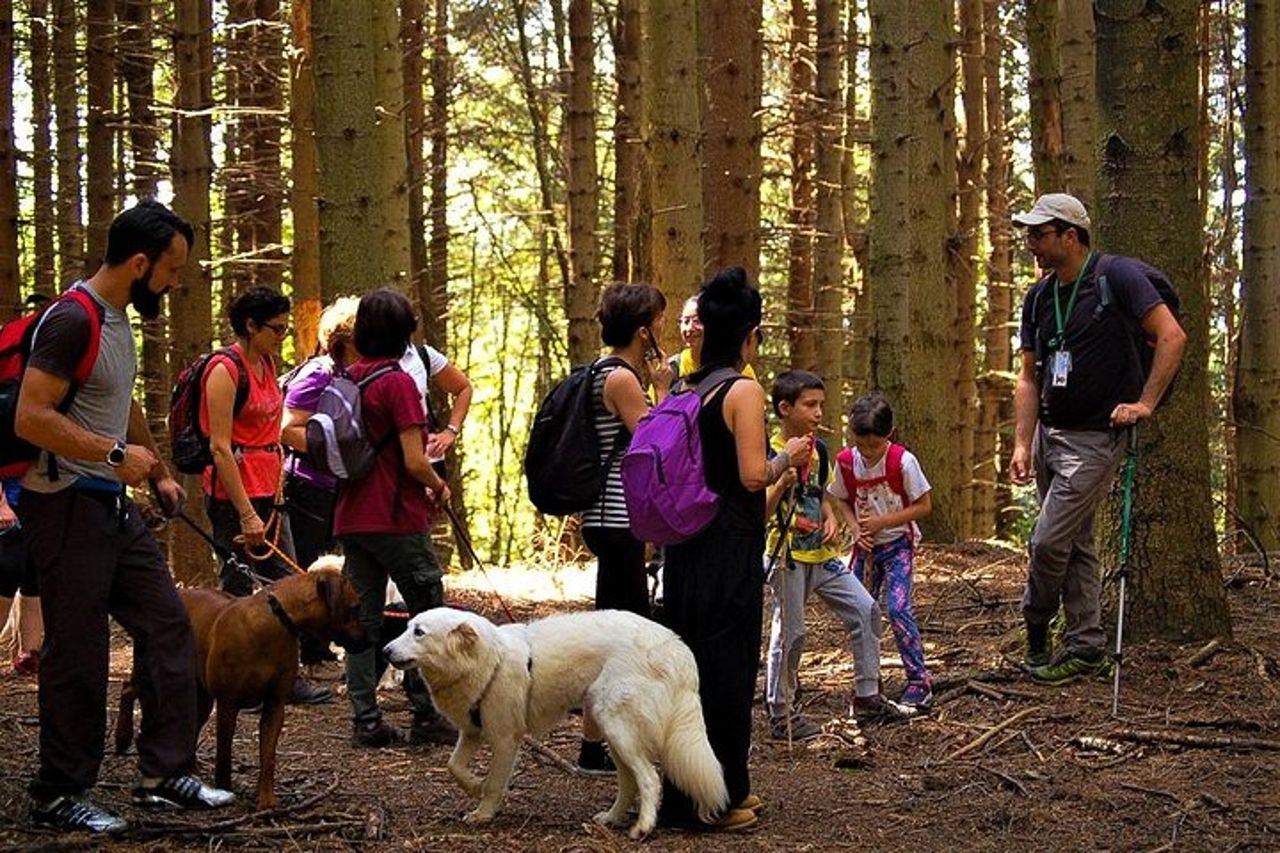 Il sentiero di Leonardo da Vinci — 3